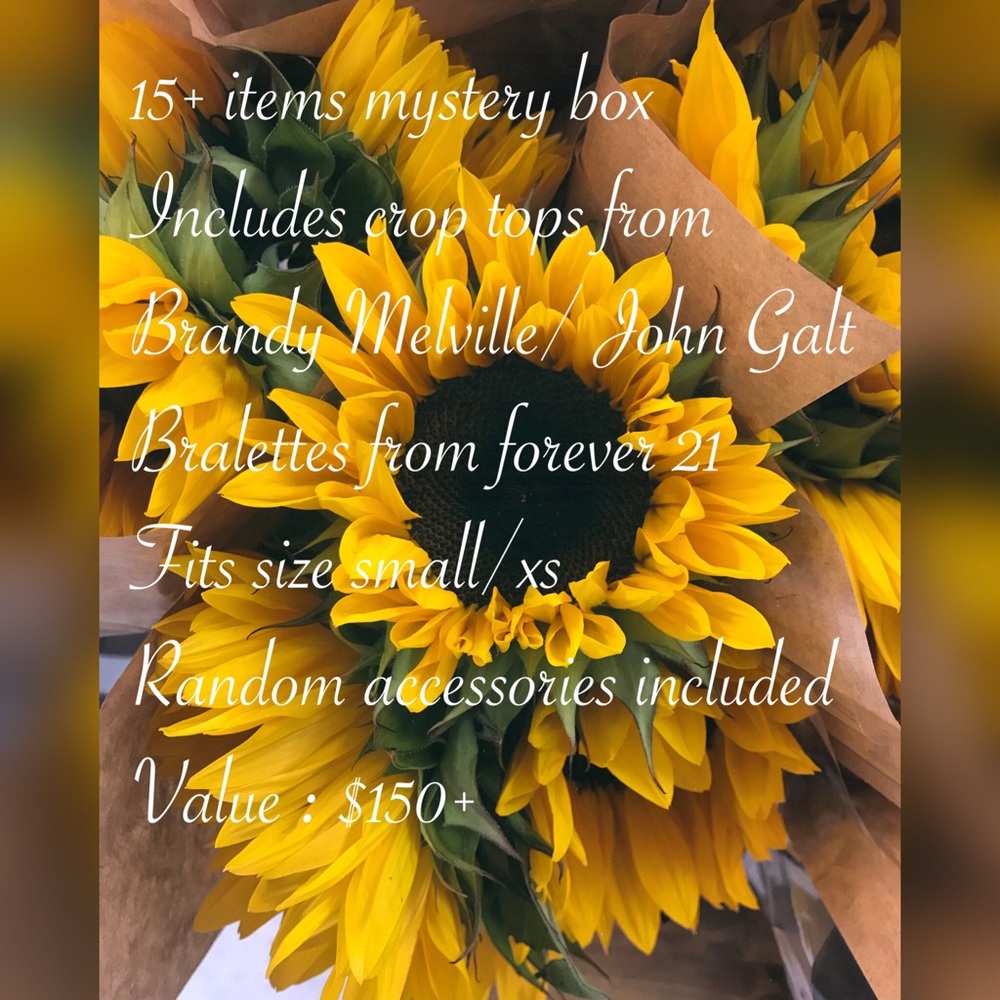 15+ Mystery Box! Brandy Melville/ John Galt